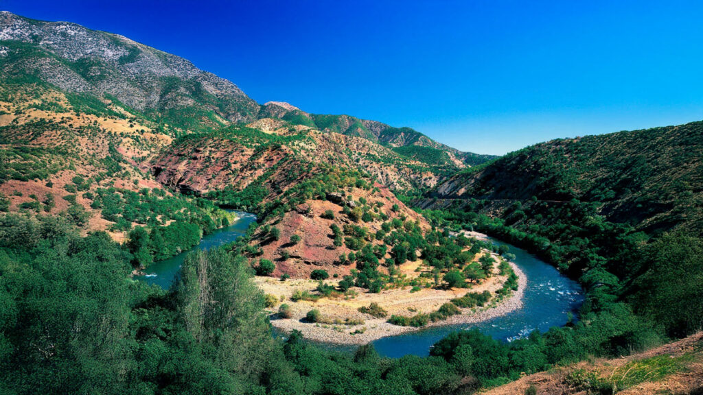 Munzur Honig Deutschland – Nuss Garten Offizielle Verkaufsseite 2 munzur4