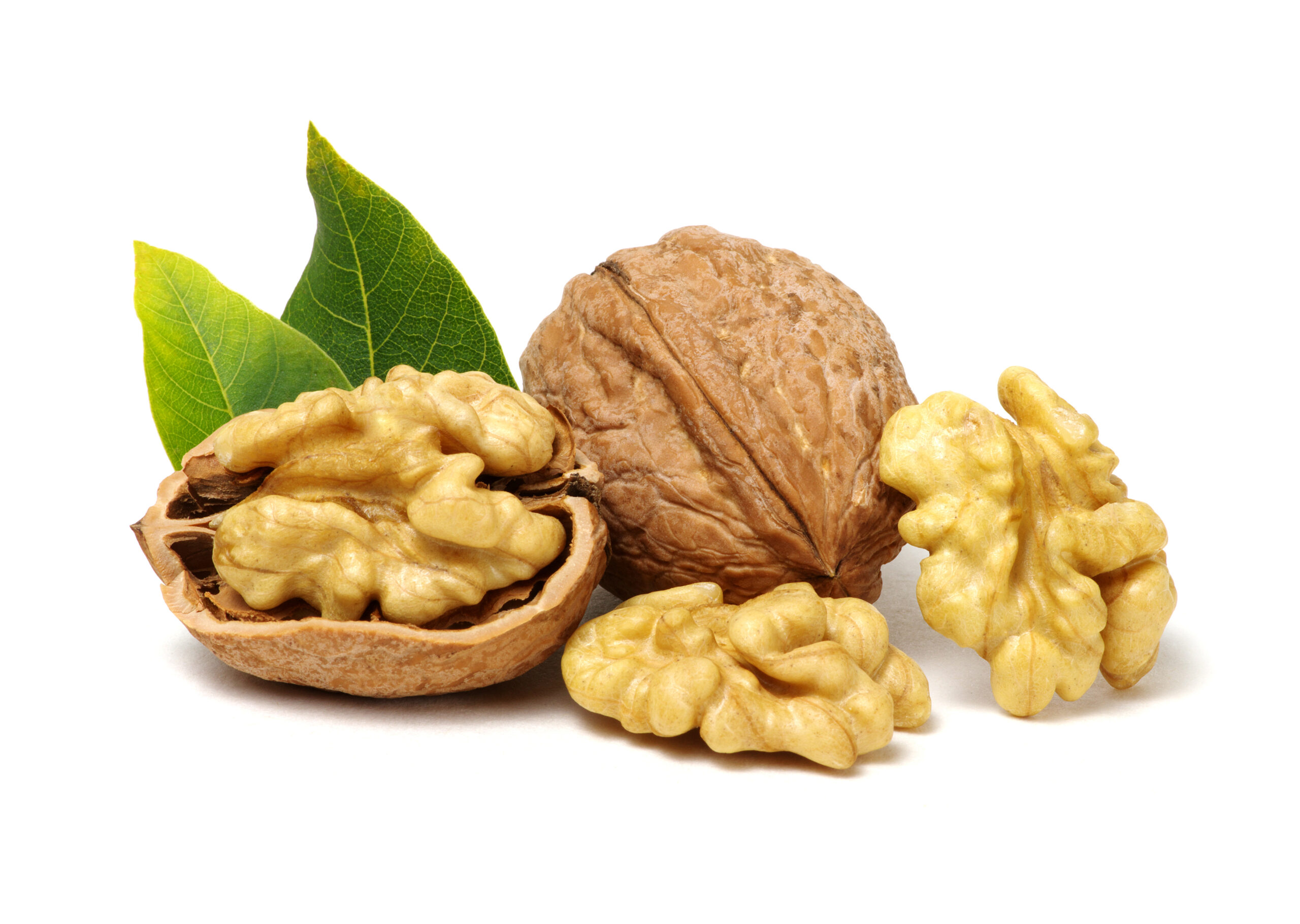 Walnusskerne 3 Walnusskerne