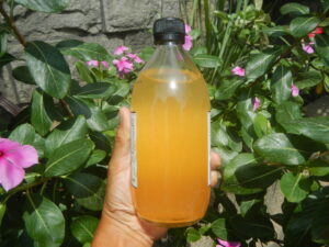 Apfelessig: Ein vielseitiger Klassiker für Salate und Küche