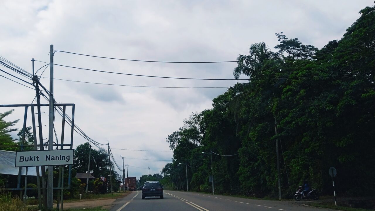 Nane: Warum Minze in der Küche so vielseitig ist