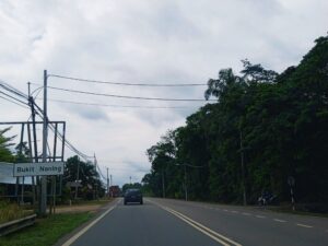 Nane: Warum Minze in der Küche so vielseitig ist