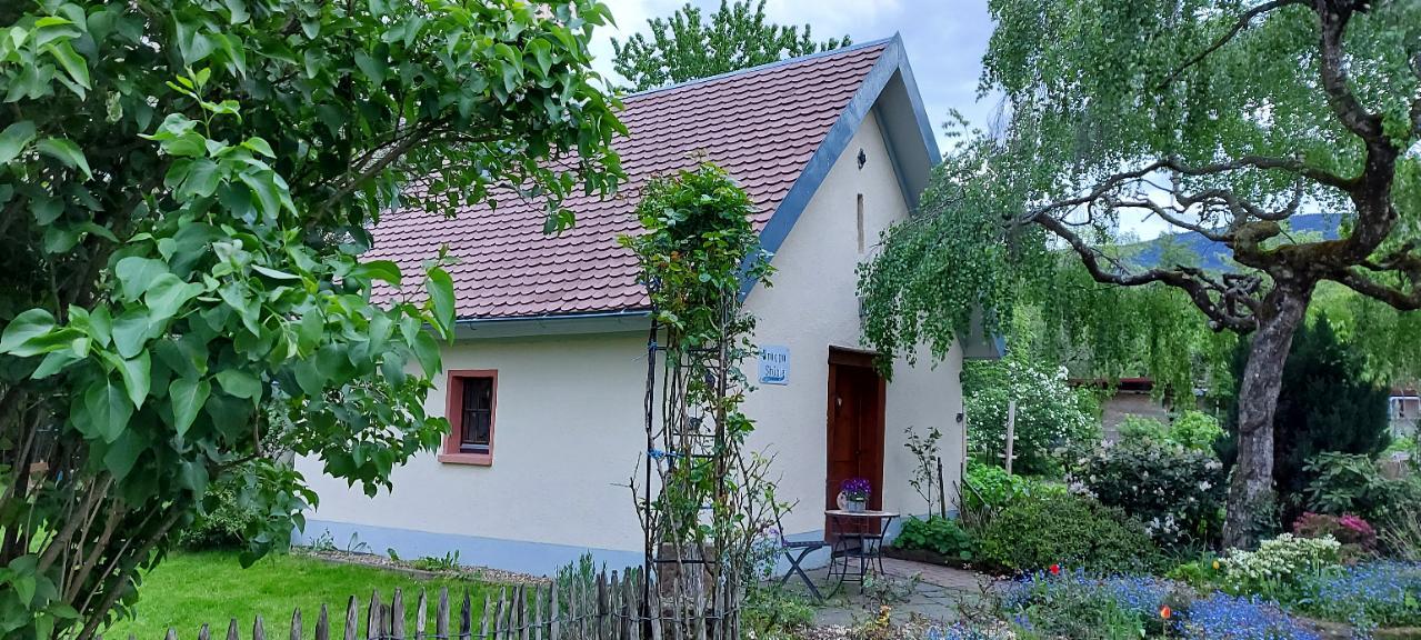 Gemüse-Nudeln: Eine vielseitige Idee für schnelle Gerichte